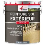 Peinture extrieur pour sol bton - rsistance uv - solthane 5 kg - telegris 2 - ral 7046