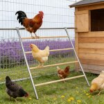 Perchoir perchoirs pour volailles �chelle � 4 marches pour poules 142 x 105 cm accessoires pour volailles ...
