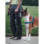 Petsafe - harnais pour chien deluxe easy walk (m / l) rflchissant rsistant facile  utiliser anti ...
