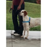Petsafe - harnais pour chien deluxe easy walk (m) réfléchissant confortable résistant facile à utiliser ... Petsafe - harnais pour chien deluxe easy walk (m) réfléchissant confortable résistant facile à utiliser ...