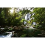 Photo art papier peint intiss� - cascade vert - (216265) - 8 l�s - 400x260cm - mural poster g�ant xxl ...