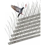 Pic anti - pigeon en acier inoxydable 3. 3 mètres pack de 10 pique anti - oiseaux pour effrayer pigeons ... Pic anti - pigeon en acier inoxydable 3. 3 mètres pack de 10 pique anti - oiseaux pour effrayer pigeons ...