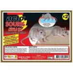 Pi�ges � glu - acto - rats et souris - support bois - �tui de 2