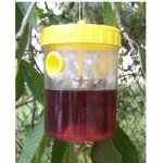 Pi�ge � gu�pes