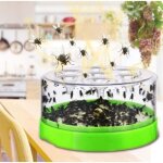 Pige  mouches attrape - mouches automatique pour un contrle efficace des insectes volants moucheron ...