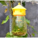 Piège nuisiblepiège à mouches pour guêpes 1 pièce piège à mouches pour fruits insectes suspendus attrape ... Piège nuisiblepiège à mouches pour guêpes 1 pièce piège à mouches pour fruits insectes suspendus attrape ...