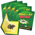Pige  souris piges  rats 5 plaques piges  souris aec colle pour souris plaques ultra collante pour ...