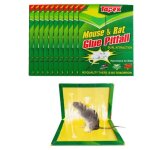 Piège à souris piège à rats efficace attrape souris - 10 plaques de glu collante - vert grande taille ... Piège à souris piège à rats efficace attrape souris - 10 plaques de glu collante - vert grande taille ...