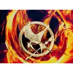 Pin?s broche hunger games or geai moqueur