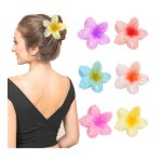 Pince � cheveux - 6 pi�ces - multicolore - fleurs - accessoires pour femmes