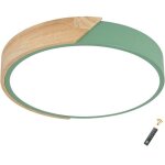 Plafonnier led rond bois 24w2400lm 30x5x30cm(vert) 6500k blanc froid design macaron �clairage maison