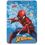 Plaid polaire spider - man