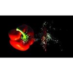 Planche verre grand modele motif poivrons code 22390500