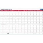 Planning 14 mois perpétuel pvc souple 60x99 cm Planning 14 mois perpétuel pvc souple 60x99 cm