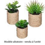 Plante artificielle - ac - d�co - mod�le al�atoire - pot en corde - 16cm - d�coration int�rieure