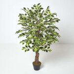 Plante figuier pleureur ficus benjamina vert & crème 122 cm Plante figuier pleureur ficus benjamina vert & crème 122 cm