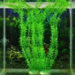 Plante herbe v�g�tal artificielle plastique pour aquatique corail d�coration pour aquarium 30cm