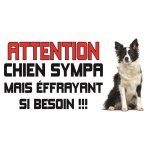 Plaque attention au chien bordeur collie