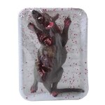 Plateau rat en barquette 19 x 12 cm Plateau rat en barquette 19 x 12 cm