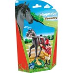 Playmobil 9261 - country - jockey avec cheval de course Playmobil 9261 - country - jockey avec cheval de course