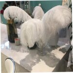 Plumes dautruche plumes pour centres de table de mariage d�coration de la maison lot de 10 pi�ces (blanc) ...