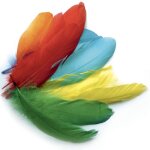 Plumes doie color�es assorties 15g