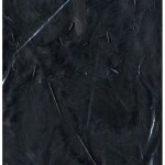 Plumes noires - 12 cm