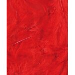 Plumes rouges - 12 cm