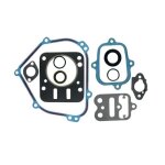 Pochette de joints briggs et stratton 798540