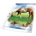 Pochettes perforées durable transparentes hq x100 Pochettes perforées durable transparentes hq x100