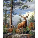 Point de croix kit complet adultecerf dans la forêtdmc 11ct canevas kit completdebutant broderie point ... Point de croix kit complet adultecerf dans la forêtdmc 11ct canevas kit completdebutant broderie point ...