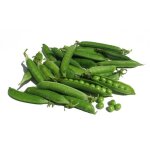 Pois nain rid� douce provence - pisum sativum - 100 grammes