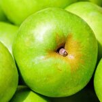 Pommier granny smith