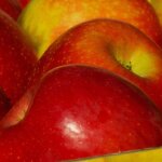 Pommier reine des reinettes