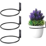 Porte - pot de fleur mural - marque - mod�le - anneau de suspension - support de pot de plante