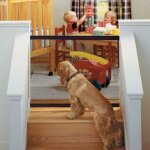 Porte de scurit magique barrire pliable filet de lisolation pour chiens les petits animaux 180 * 72cm ...