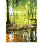 Poster d�coration murale - for�t nature - 70x100 cm - impression haute r�solution - sans cadre - vert ...