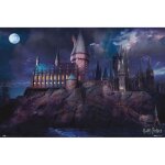 Poster - harry potter - hogwarts - 61x91. 5 cm - multicolore - dcoration murale