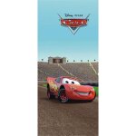 Poster porte cars flash mc que