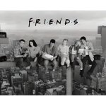 Poster série tv friends new york (91. 5 x 61cm) Poster série tv friends new york (91. 5 x 61cm)