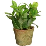 Pot d�coratif - esscherts design - ah003 - terre cuite vieillie - menthe 138x162 cm - int�rieur / ext�rieur ...