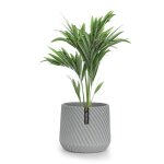 Pot de fleurs - blumfeldt - fox & fern heusden - polystone - 20 cm - gris - avec r�serve deau - perc� ...