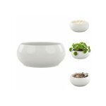 Pot de fleurs - botle - c�ramique blanche - � 255 cm - design moderne - polyvalent