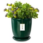 Pot de fleur bouteille verte avec soucoupe rond dimensions 195 mm x 215 mm surface brillant cramique ...