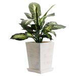 Cache pot - modern interiors - glamour trapeze - gris clair - dimensions 295x295x34 cm - carr�