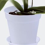 Pot de fleurs pour orchides elho provence 13cm - blanc