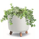 Pot de fleurs pieds jardiniere rond 30 cm blanc mat bac a fleurs plastique Pot de fleurs pieds jardiniere rond 30 cm blanc mat bac a fleurs plastique