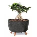Pot de fleurs pieds jardiniere rond 39 cm bac a fleurs plastique anthracite bton