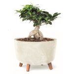 Pot de fleurs pieds jardiniere rond 39 cm bac a fleurs plastique creme béton Pot de fleurs pieds jardiniere rond 39 cm bac a fleurs plastique creme béton