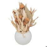 Pot gres fleurs naturelles séchées 25x10cm beige ivoire crème Écru naturel taupe Pot gres fleurs naturelles séchées 25x10cm beige ivoire crème Écru naturel taupe